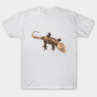 Crested Gecko T-Shirt